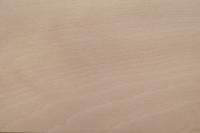 0.6mm Platane Furnier 1.02m² P 22 31 15