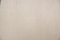 Ahorn, europäischer -Furnier (0,6mm) - 0,48m² (32Stk. x 10cm x 15cm)