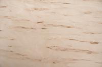 Birke Maser -Furnier (0,6mm) - 0,23m² (5Stk. x 41cm x 11cm)