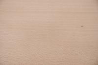 Buche -Furnier (0,6mm) - 3,83m² (22Stk. x 116cm x 15cm)