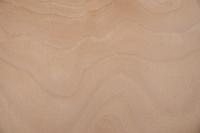 Buche -Furnier (2,4mm) - 0,47m² (8Stk. x 16cm x 37cm)