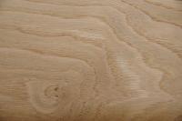 Chestnut, - veneer (0,6mm) - 1,37m² (14pcs. x 98cm x 10cm)