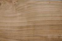 European Cherry, - veneer (2,4mm) - 0,29m² (8pcs. x 24cm x 15cm)