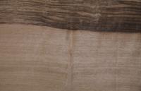 Nussbaum, europäischer -Furnier (0,6mm) - 17,28m² (24Stk. x 360cm x 20cm)