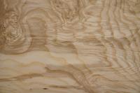 Esche Maser; oliv -Furnier (0,6mm) - 1,64m² (14Stk. x 45cm x 26cm)