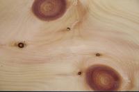 Cembra Pine; Swiss Pine, - veneer (0,9mm) - 2,86m² (16pcs. x 188cm x 9,5cm)