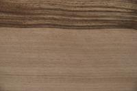 Nussbaum, europäischer -Furnier (0,6mm) - 1,83m² (21Stk. x 67cm x 13cm)