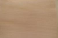 0.6mm Platane Furnier 1.48m² R 17 30 29