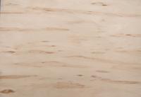 Birke Maser -Furnier (0,6mm) - 0,09m² (6Stk. x 14cm x 11cm)