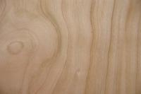 Kirschbaum, europäischer -Furnier (2,5mm) - 0,11m² (6Stk. x 11cm x 17cm)