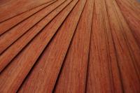 Padouk, - veneer (0,6mm) - 0,18m² (22pcs. x 16cm x 5cm)