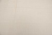 Sycamore, - veneer (0,6mm) - 0,25m² (28pcs. x 11cm x 8cm)
