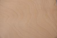 Buche -Furnier (2,4mm) - 0,31m² (7Stk. x 19cm x 23cm)