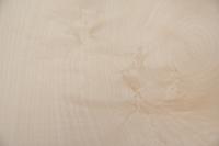Sycamore, - veneer (0,6mm) - 0,47m² (28pcs. x 12cm x 14cm)