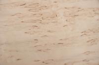 Birke Maser -Furnier (0,6mm) - 0,22m² (8Stk. x 23cm x 12cm)