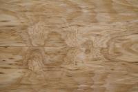 Esche Maser; oliv -Furnier (0,6mm) - 1,17m² (5Stk. x 138cm x 17cm)