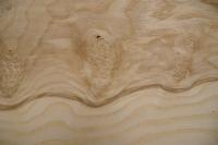 Esche Maser; oliv -Furnier (0,6mm) - 0,39m² (3Stk. x 36cm x 36cm)