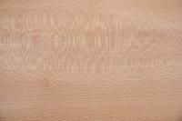 Platane -Furnier (0,6mm) - 12,55m² (32Stk. x 212cm x 18,5cm)