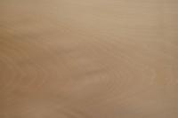 0.6mm Platane Furnier 1.32m² U 4 89 37