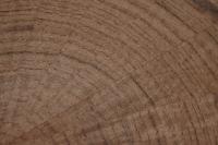 American Black Walnut, - veneer (1,4mm) - 0,17m² (8pcs. x 8cm x 27cm)