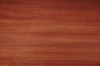 Padouk, - veneer (0,6mm) - 4,37m² (22pcs. x 75cm x 26,5cm)