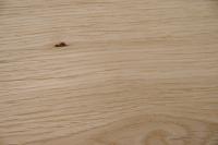 Eiche, europäische -Furnier (0,9mm) - 1,46m² (15Stk. x 97cm x 10cm)