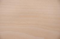 Beech, - veneer (0,6mm) - 3,03m² (24pcs. x 97cm x 13cm)