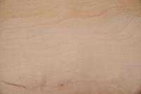 Buche -Furnier (2,4mm) - 0,44m² (8Stk. x 34cm x 16cm)