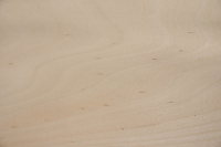 Birch, - veneer (0,6mm) - 0,22m² (5pcs. x 22cm x 20cm)