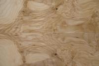 Esche Maser; oliv -Furnier (0,6mm) - 0,87m² (6Stk. x 97cm x 15cm)