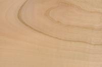 European Cherry, veneer