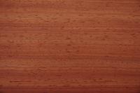 Padouk, - veneer (0,6mm) - 1,96m² (22pcs. x 27cm x 33cm)