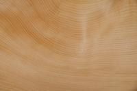 Cedar, - veneer (0,6mm) - 5,29m² (14pcs. x 140cm x 27cm)
