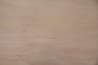 Buche -Furnier (0,6mm) - 2,89m² (22Stk. x 82cm x 16cm)