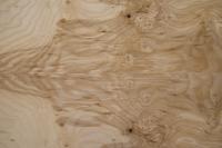 Esche Maser; oliv -Furnier (0,6mm) - 0,93m² (6Stk. x 97cm x 16cm)