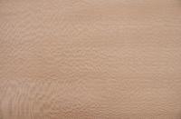 Platane -Furnier (0,6mm) - 3,28m² (32Stk. x 57cm x 18cm)