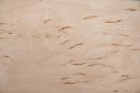 Karelian Birch; Birch Burl, - veneer (0,6mm) - 0,35m² (8pcs. x 44cm x 10cm)