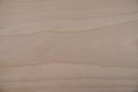 Buche -Furnier (0,6mm) - 4,65m² (24Stk. x 114cm x 17cm)