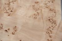 Pappel Maser (Mapa) -Furnier (0,6mm) - 1,74m² (24Stk. x 25cm x 29cm)