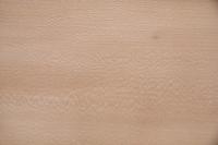 Platane -Furnier (0,6mm) - 17,15m² (32Stk. x 233cm x 23cm)