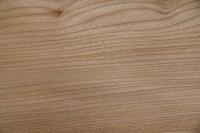 Rüster (Ulme) -Furnier (0,6mm) - 1,67m² (16Stk. x 55cm x 19cm)